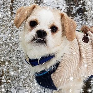 Meet your Posher, Beth